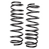 Coil Springs Variable Rate Rear - image 1