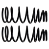 Coil Springs Variable Rate - image 1