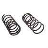 Coil Springs Variable Rate Rear - image 1
