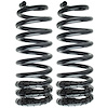 REAR CARGO COIL SPRINGS - image 1