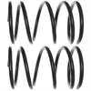 Coil Springs Variable Rate - image 1