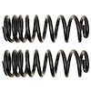 Coil Spring Set - image 1