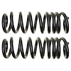 Front Coil Spring Set - image 1