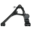 Control Arm w/Ball Joint - image 1