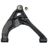 Control Arm w/Ball Joint - image 1
