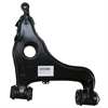 Control Arm w/Ball Joint - image 1