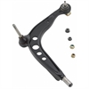 Control Arm w/Ball Joint - image 1