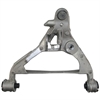 Control Arm w/Ball Joint - image 1
