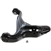 Control Arm w/Ball Joint - image 1