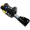 Strut and Coil Spring Assembly - image 1