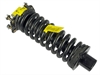 STRUT & COIL SPRING ASSEM - image 1