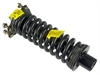 STRUT & COIL SPRING ASSEM - image 1