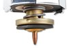 Black Domestic ThermoCap 16 psi - image 4