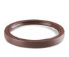 Rear Main Seal SB-Chevy - image 2