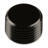 NPT Plug - image 2