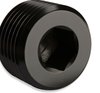 NPT Plug - image 3