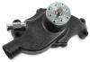 W/PUMP SBC SHORT IRON/BLK - image 1