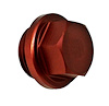 QC CNTR SECT FILLER PLUG - image 1