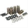 GM LS Series Gold Dual Valve Spring Kit .565" Spring Base - image 1