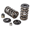 Valve Spring & Retainer Kit GM LS Series - image 1