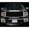 Non-Lighted Boss Grille 2009-12 Ford F150 - image 1