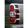 Tail Lamp Cover - image 1