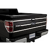 Tailgate Accent - image 1