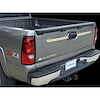 Tailgate Accent - image 1