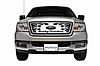 Ford F150 Light Duty Honeycomb (except Heritage) - image 1