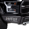Bumper Grille Inserts - image 1
