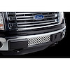 Bumper Grille Insert 2011-14 Ford F150 Ecoboost - image 1