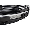 Bumper Grille Insert 2011-14 Ford F150 EcoBoost - image 1