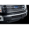 Bumper Grille Insert 2011-14 Ford F150 Ecoboost - image 1