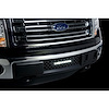 Bumper Grille Insert 2011-14 Ford F150 Ecoboost - image 1