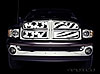 Dodge Ram 1500 series / 2003-2005 Dodge Ram 2500-3500 - image 1