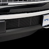 Bumper Grille Insert 2011-14 Ford F150 EcoBoost - image 1