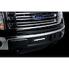 Bumper Grille Insert 2011-14 Ford F150 EcoBoost - image 1