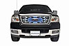 Ford F150 Light Duty Honeycomb w/ logo cutout (except Heritage) - image 1