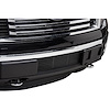 Bumper Grille Insert 2011-14 Ford F150 EcoBoost - image 1
