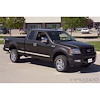 Body Side Molding 2004-08 Ford F150 - image 1