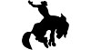 Bucking Bronco - image 1