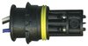 NTK Oxygen Sensor - image 3