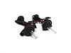 HEADLIGHT BULB SET - image 1