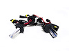 HEADLIGHT BULB SET - image 1