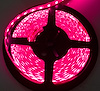INT. ACCENT LIGHT - image 1