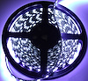 INT. ACCENT LIGHT - image 1