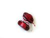RS-O2.5-2HR Truck & Trailer LED 2.5 x 1 in. Red Marker, w/ 2 Hole Mount, Pair - image 1