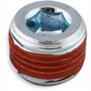 Allen Pipe Plug [1/8 in. NPT] - image 3