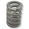 Regulator Spring Silver - image 1