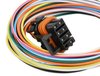Replacement Wiring Harness for Mini 2-Stage Progressive Nitrous Controller 741-25974NOS - image 3